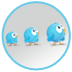 twitter community building Twitter Marketing